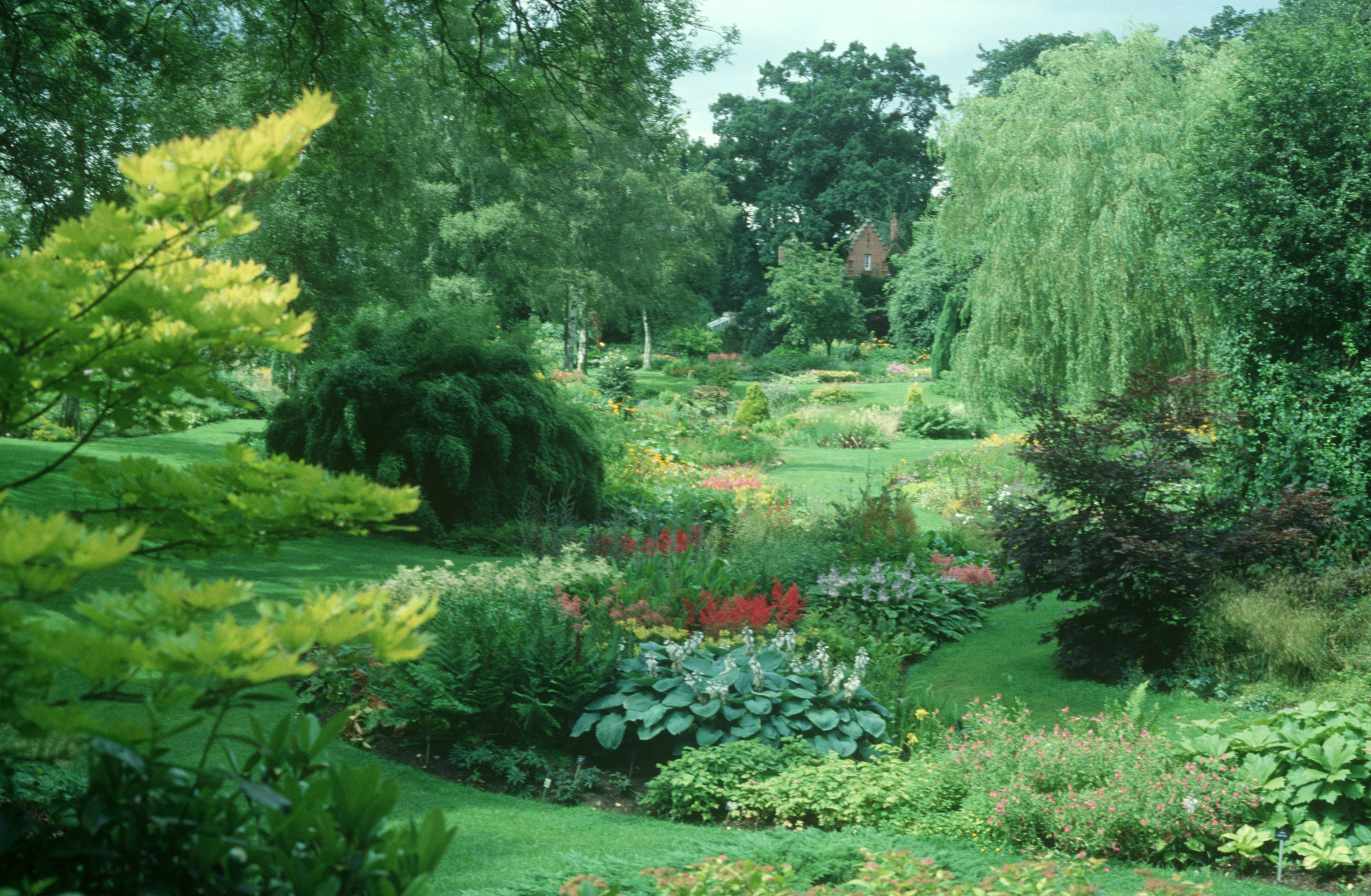 Gardening for Everyone - Adrian Bloom | Massachusetts